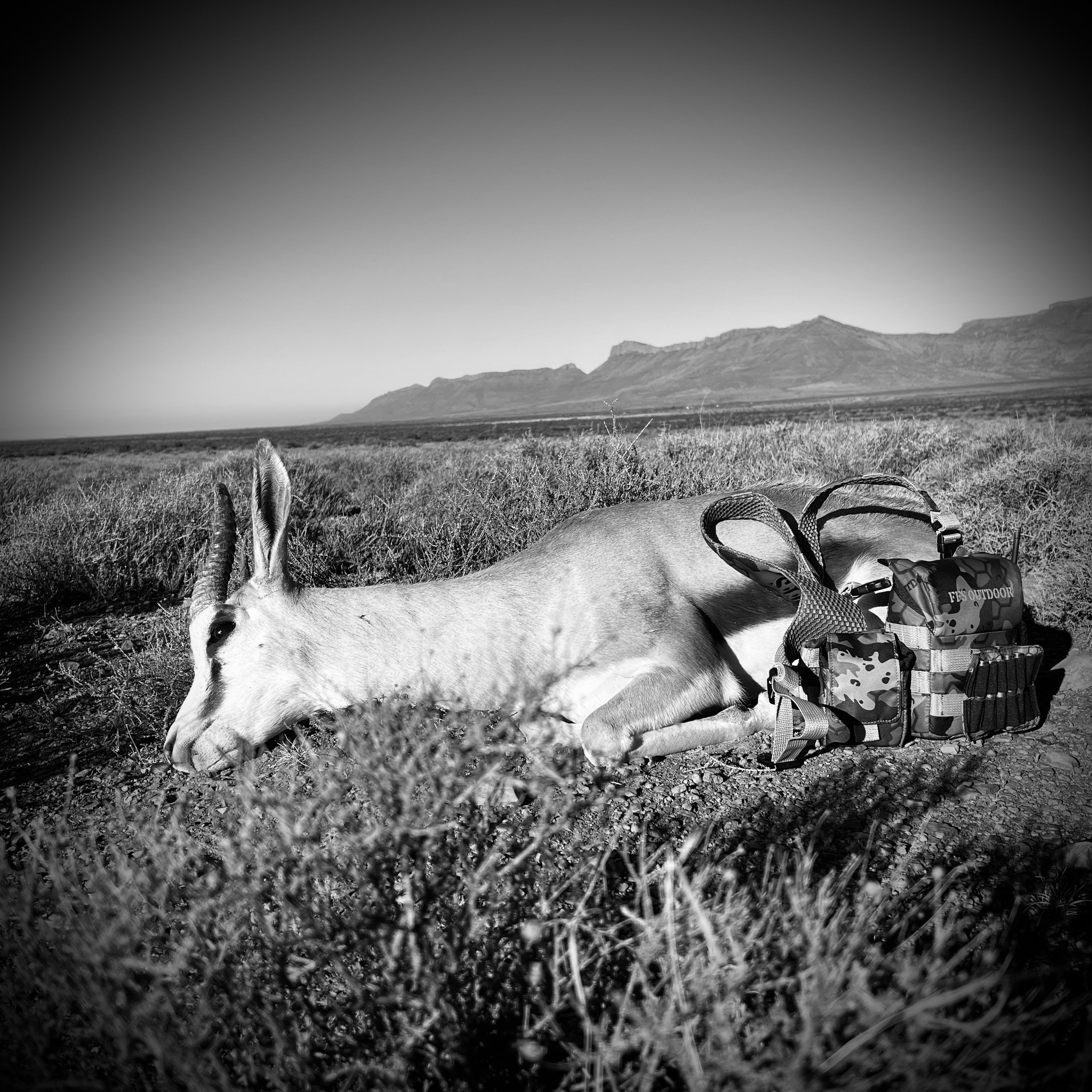 Rifle Hunting Products – FFSOutdoor