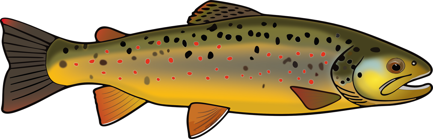 Mens Pro Sun Hoodie - Limited edition Fresh Water Fish