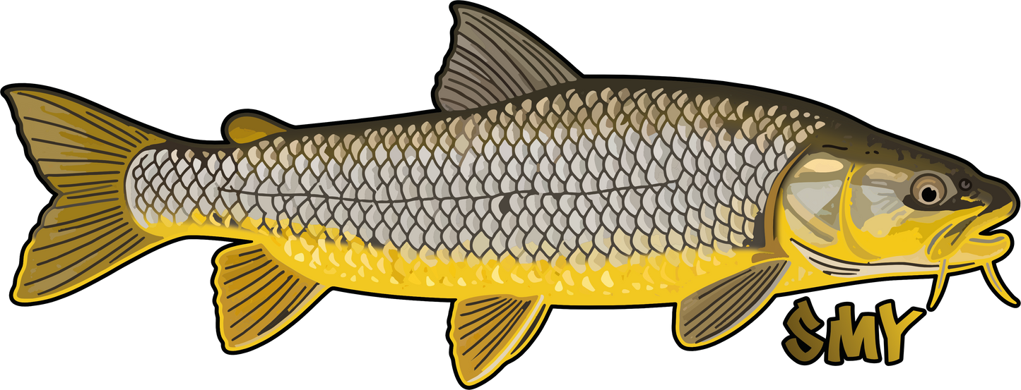 Mens Pro Sun Hoodie - Limited edition Fresh Water Fish